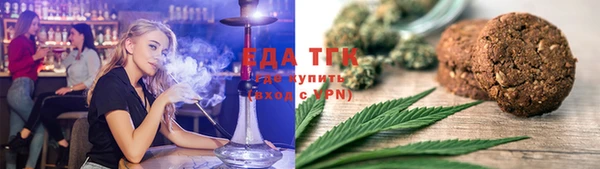 гидра Абаза
