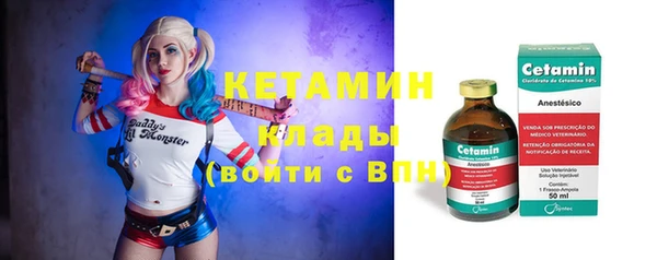 гидра Абаза