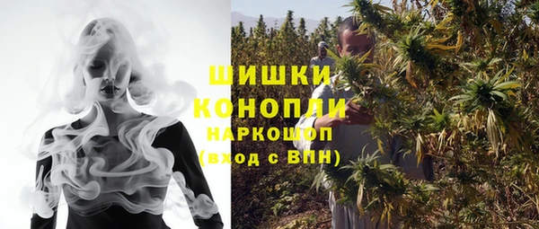 гидра Абаза